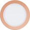 Party Central Club Pack of 120 White and Rose Gold Metallic Rim Disposable Plastic Round Party Plates 10"